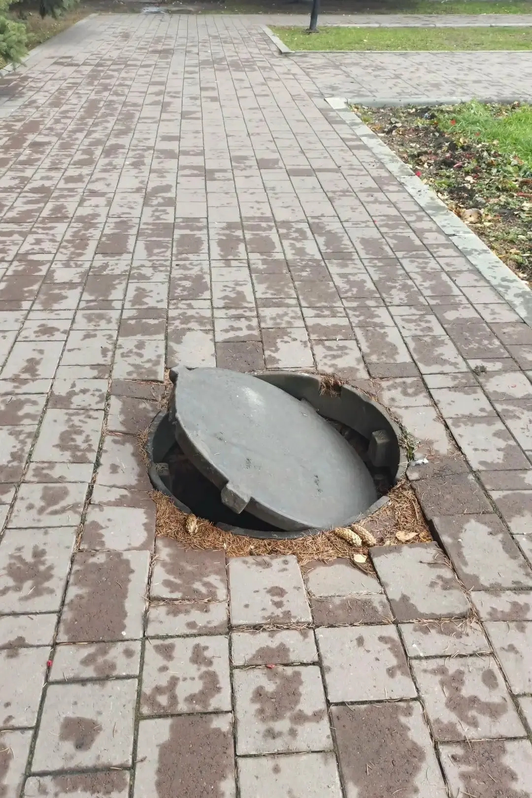 Здравствуйте на Ломоносова 2 открыт люк! Возле клумбы пожалуйста будьте внимательны!