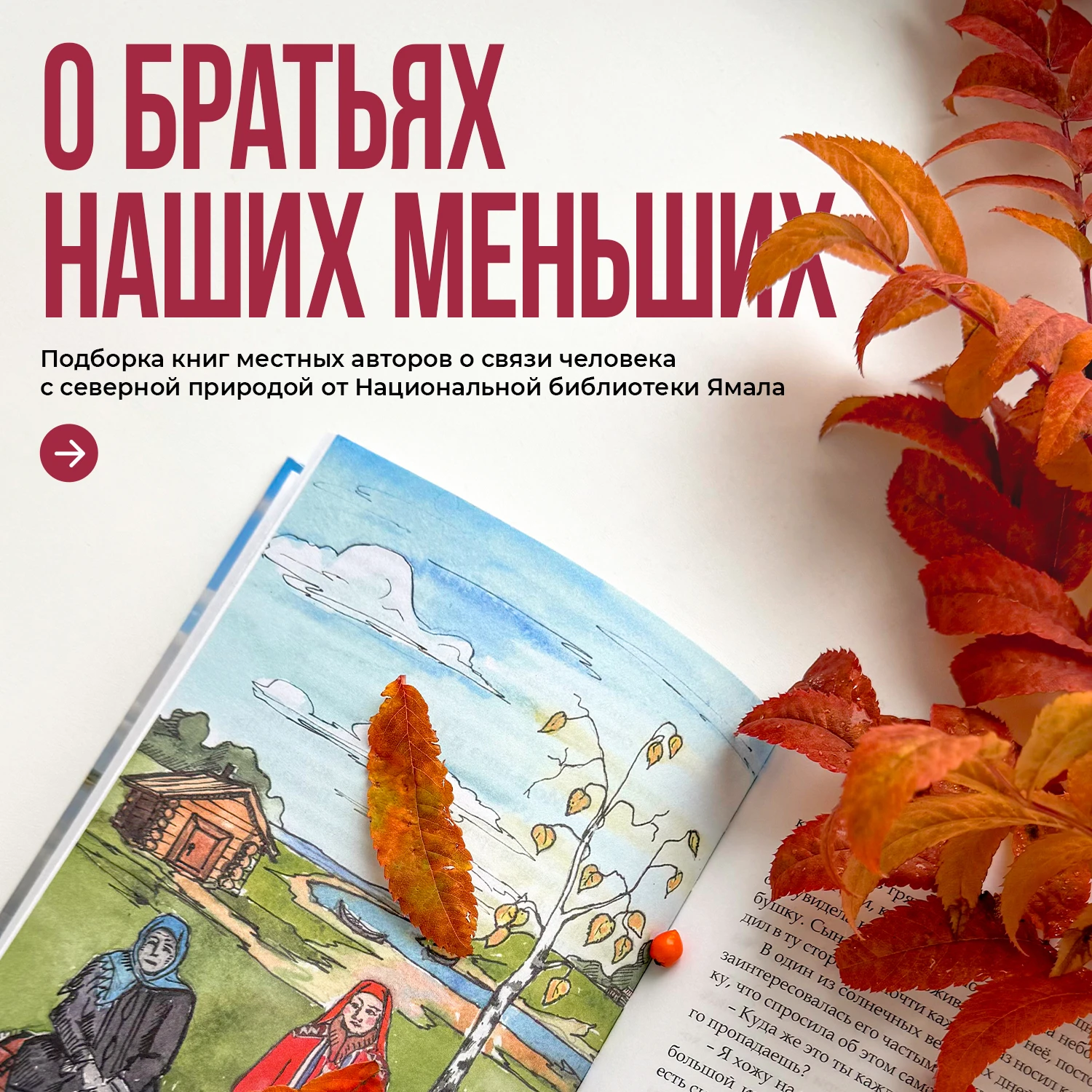 О братьях наших меньших прочитаем мы... в книгах! 📖