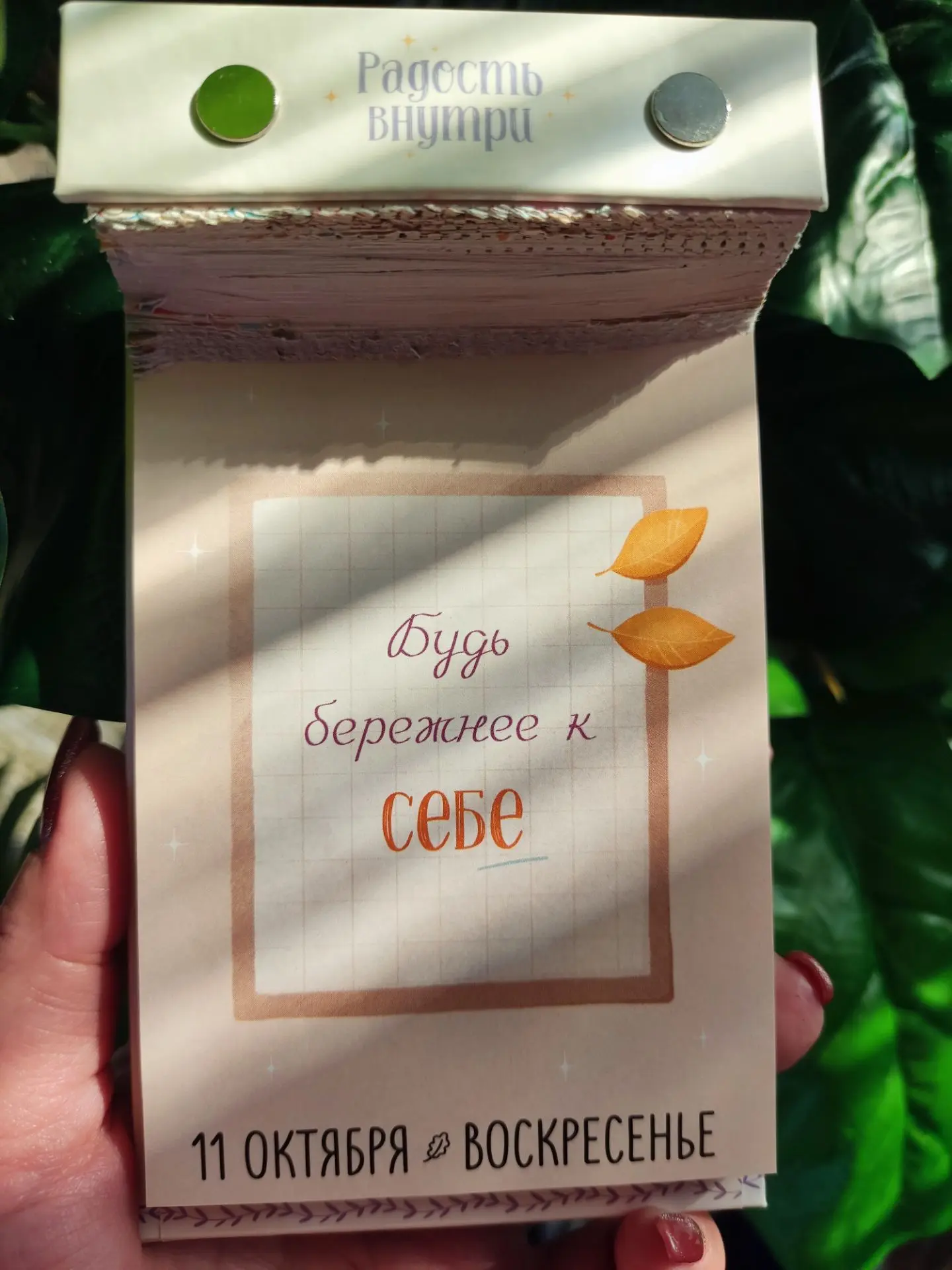 #РадостьВнутри  😻