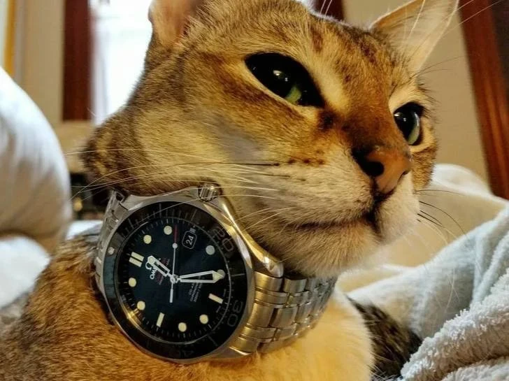 ⌚ Москвички сходят с ума по мужчинам с часами