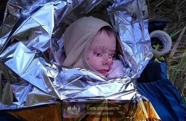 В Ленинградской области, недалеко от Санкт-Петербурга, волонтёры нашли пропавшего пятил...
