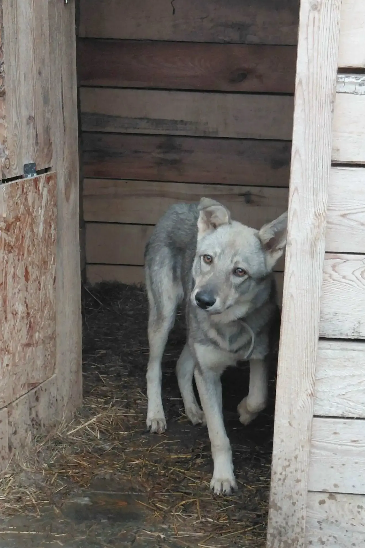 🏠 Принц ищет дом!