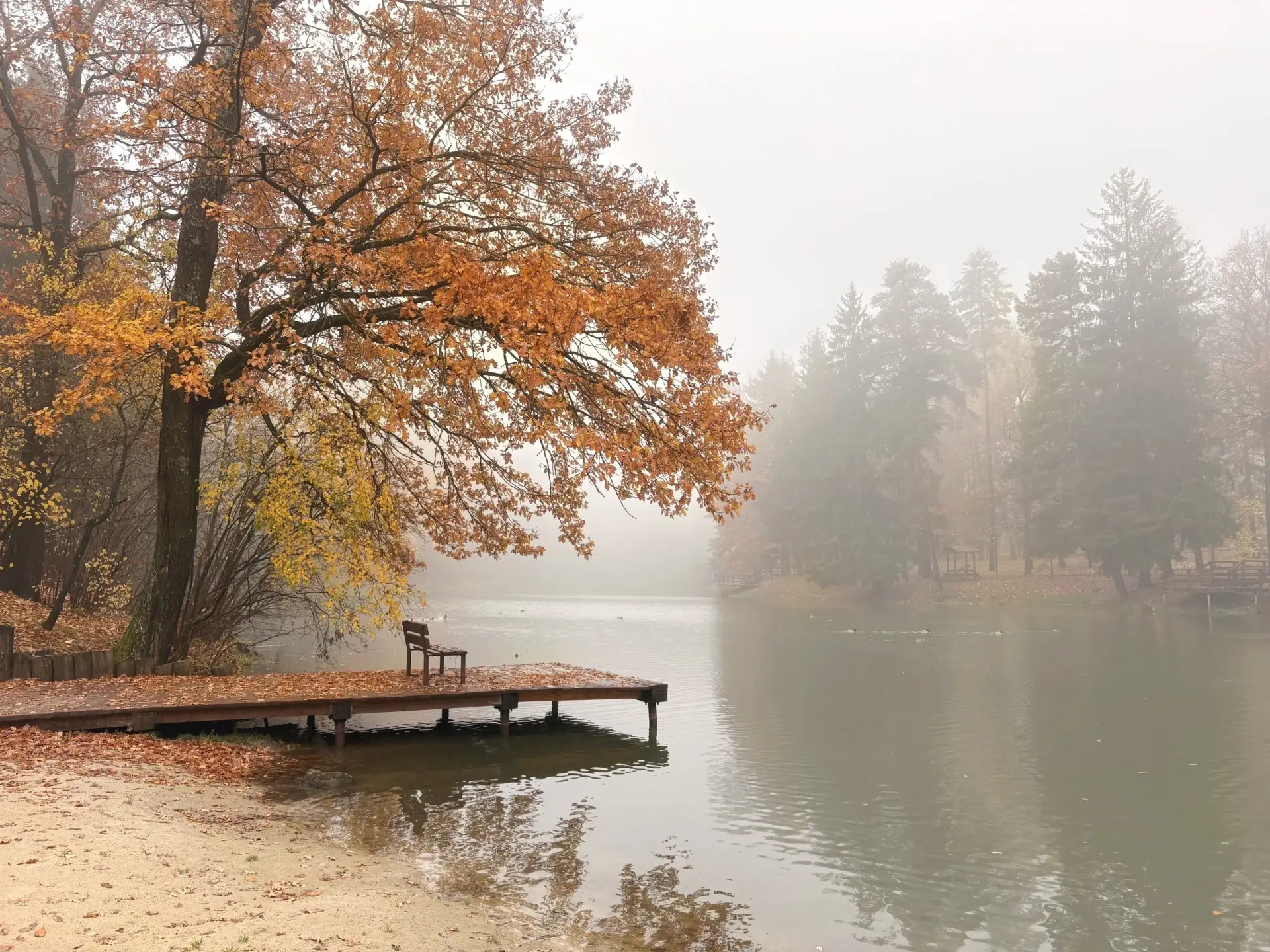 Красиво сегодня🍂