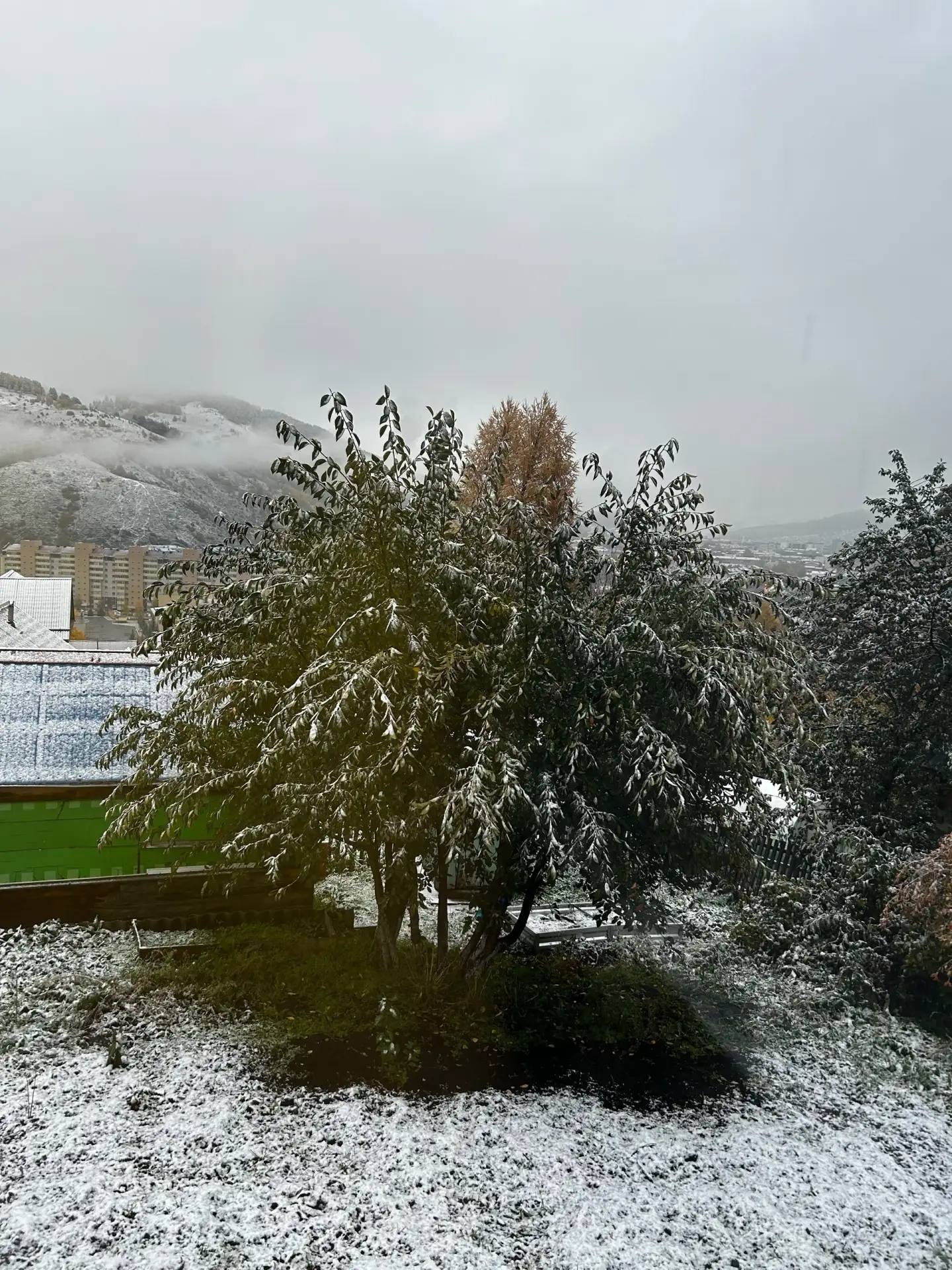 ❄️ Вчера снег прошел в Артыбаше, Шерегеш, Белокурихе и республике Алтай.Видео: Барнаул ...