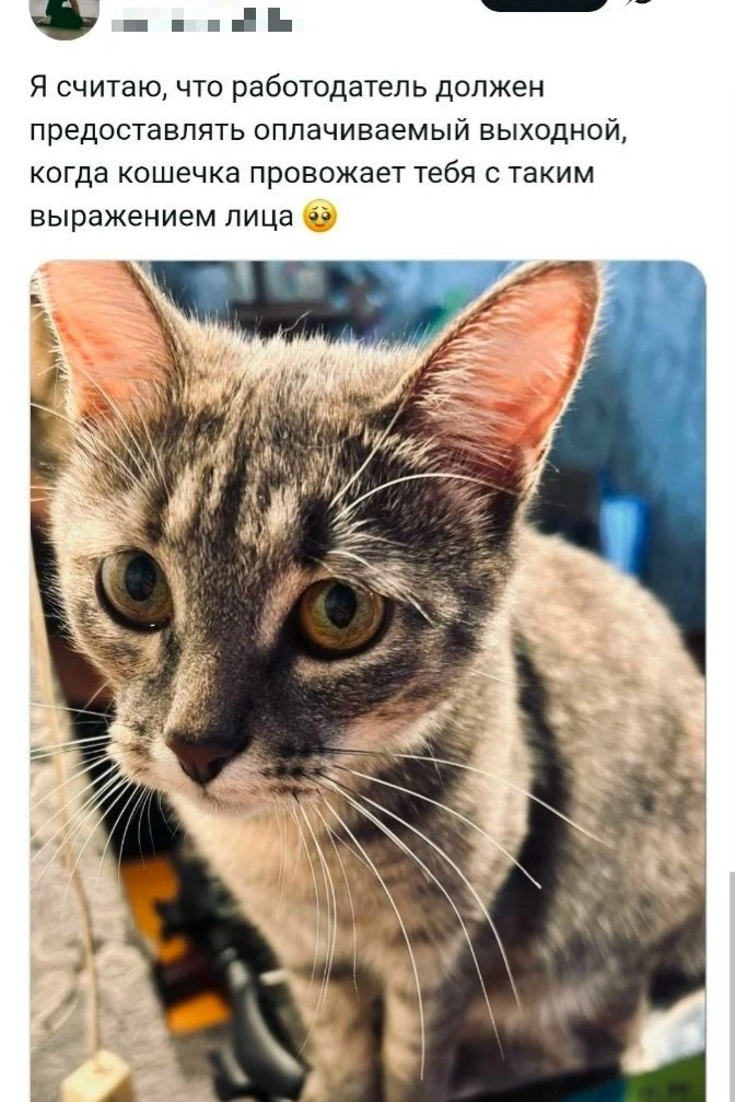 Подписывайся на нас! https://max.ru/channel_foradult