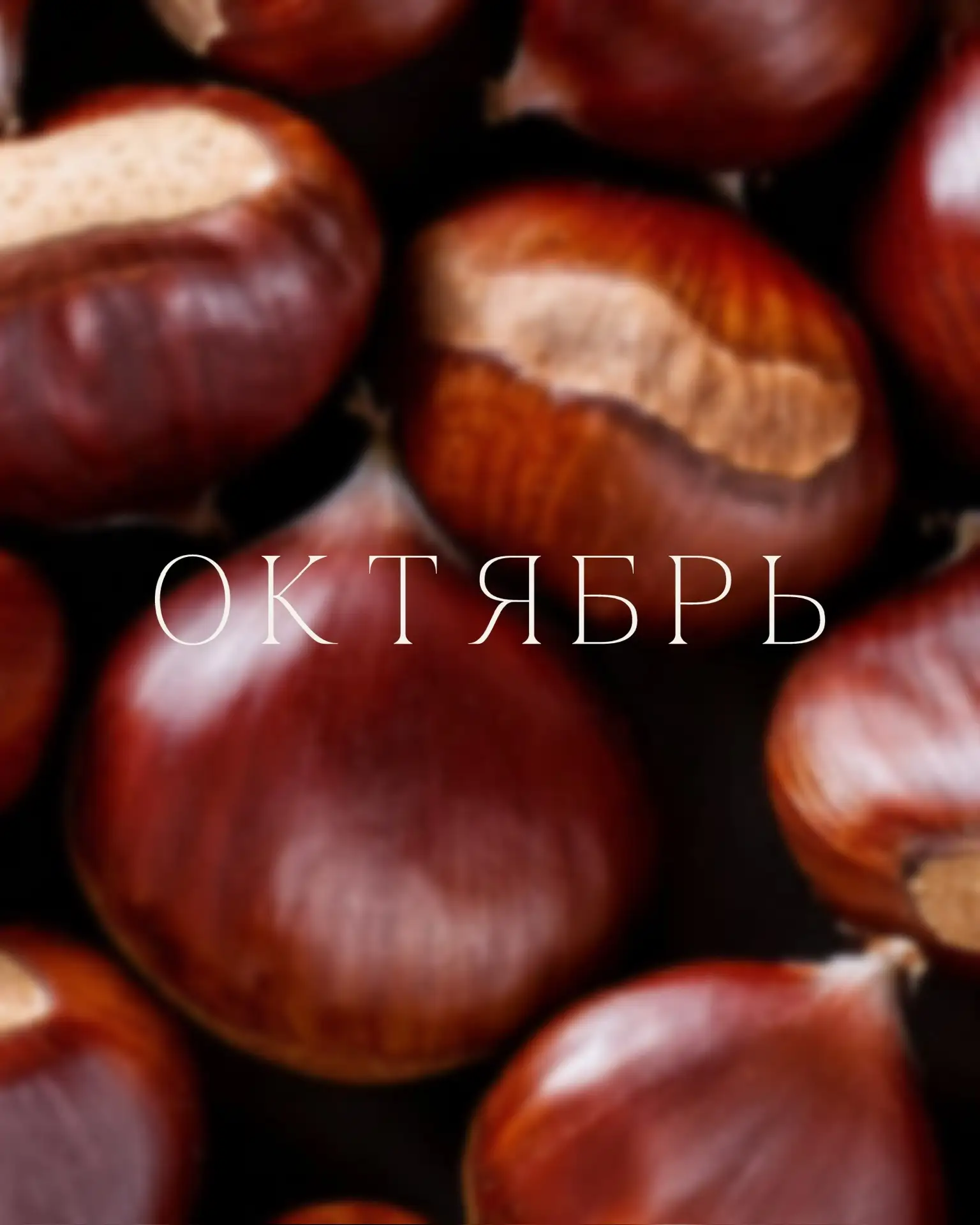 Октябрь пахнет дождём, прелой листвой и чем-то тёплым на плите. Самое время для сытных ...