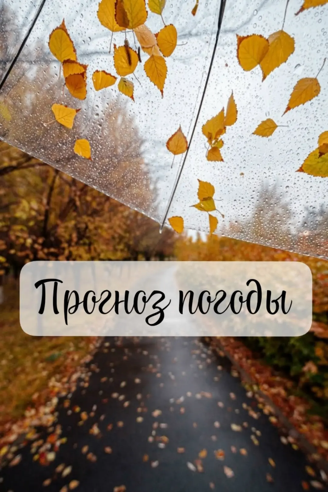 Прогноз погоды✅