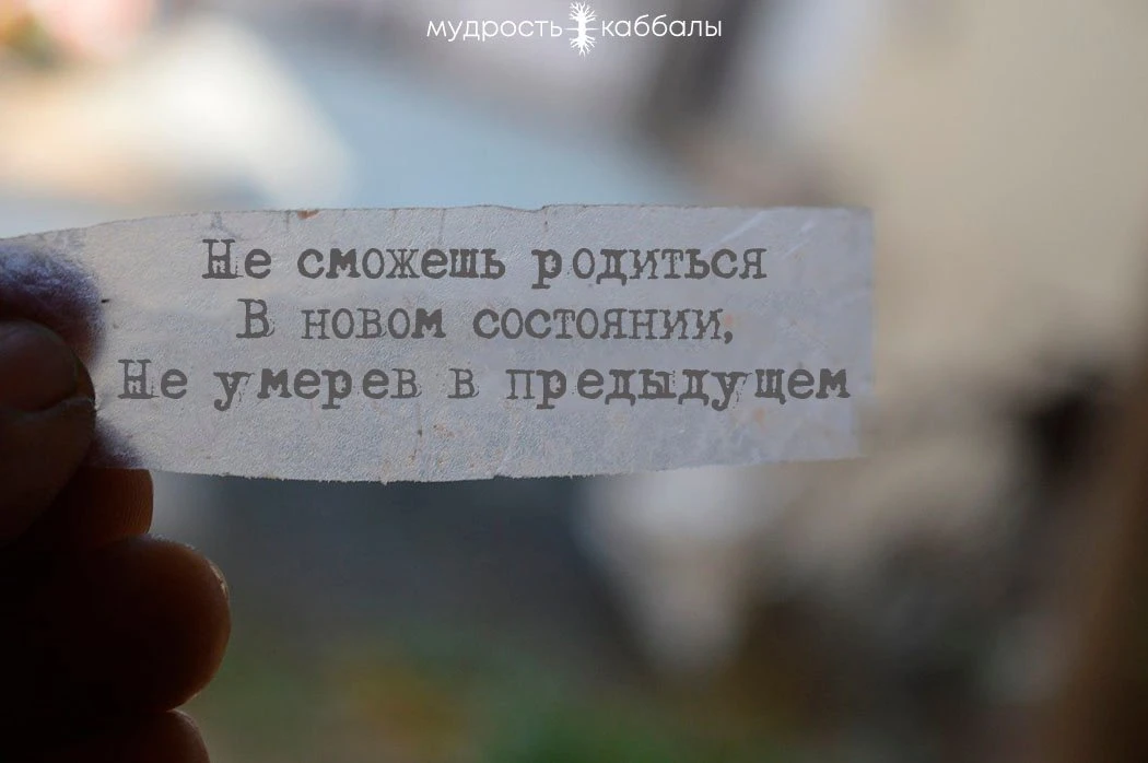 #состояние #новое #родиться
