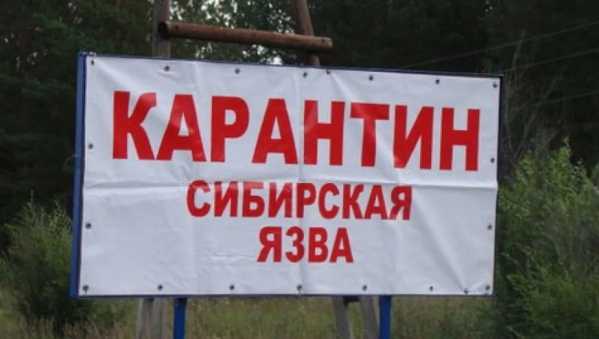 🐾Ветеринарная служба Краснодона и Краснодонского района: защищаем животных и людей от ...