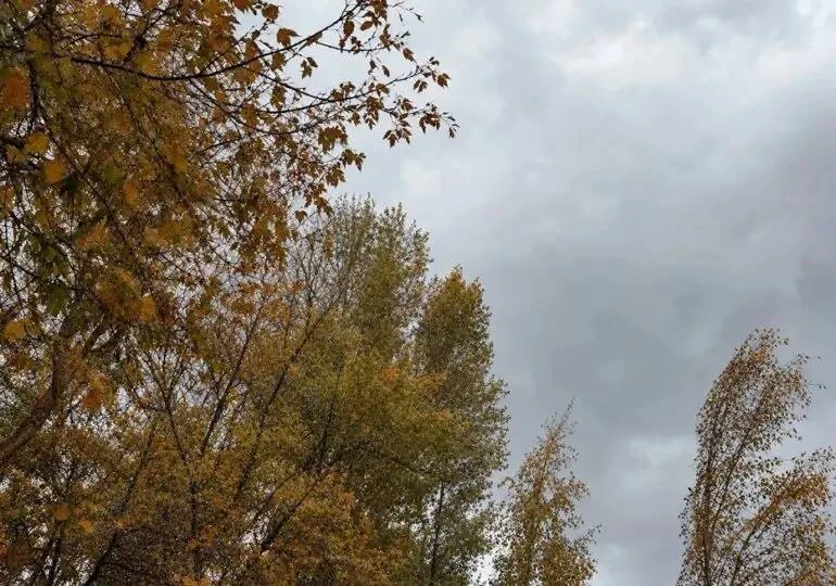 💨 Завтра в Самарской области прогнозируют усиление юго-западного, западного ветра