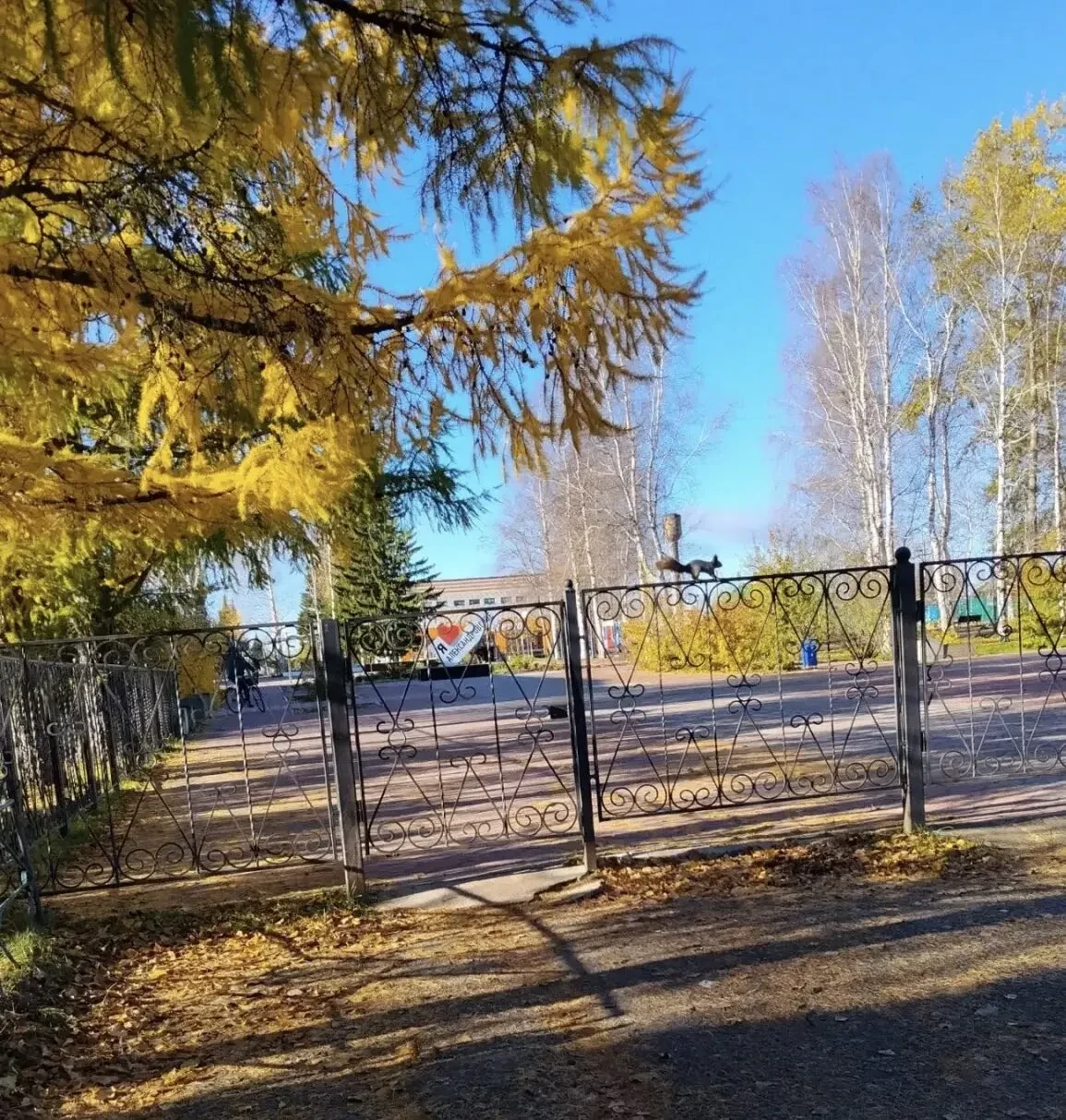 С белочками в центре нашего села нынешним летом повстречались многие александровцы. Вот...