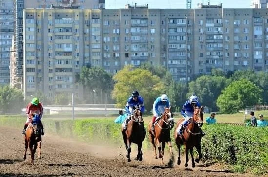 Власти предложили сделать из Ростовского ипподрома досуговый центр