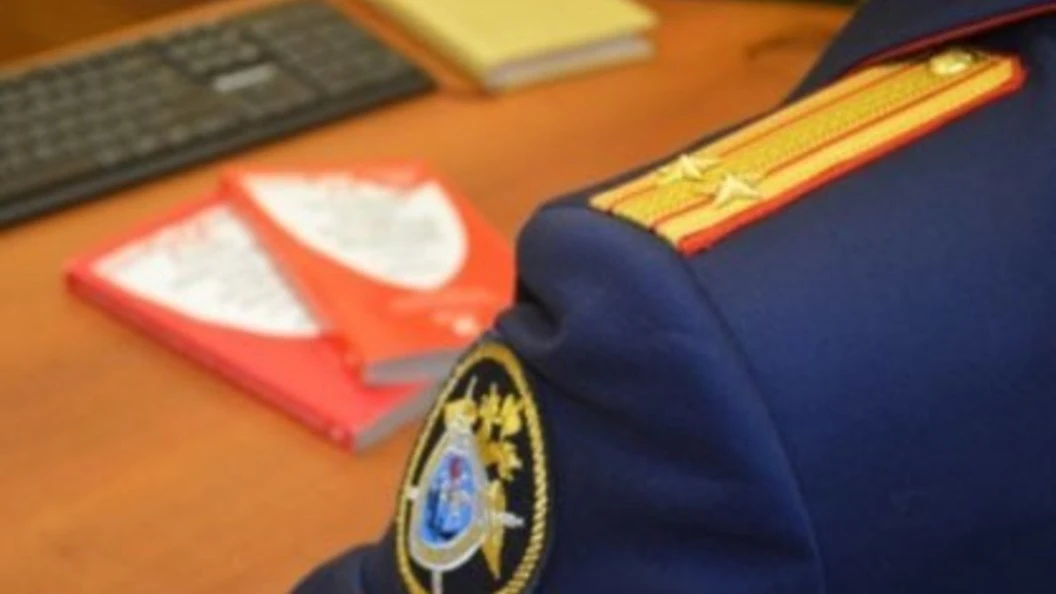 В Республике Марий Эл завершено расследование уголовного дела в отношении женщины, обви...