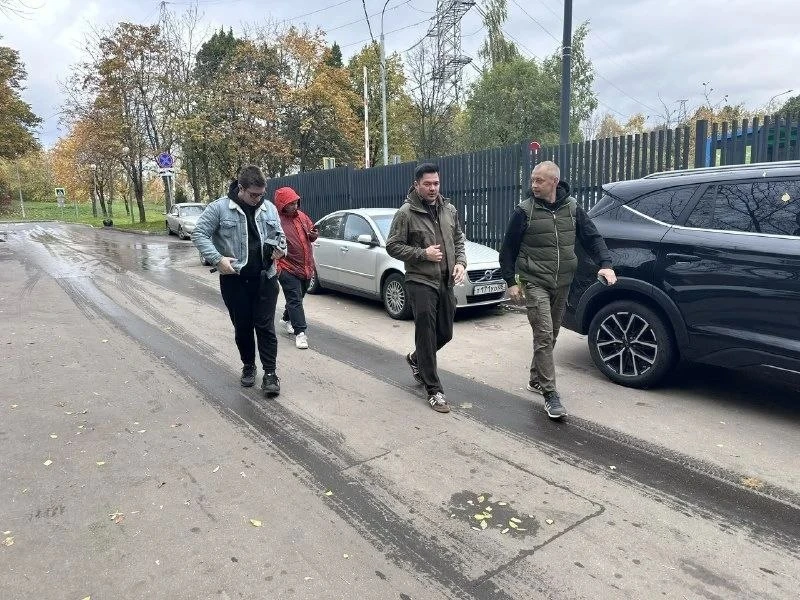 🌳 В районе Дмитровский поручили обрезать ветки и убрать листву