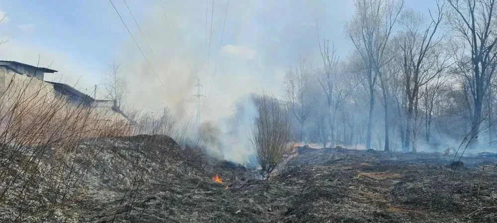В ЕАО действует особый противопожарный режим