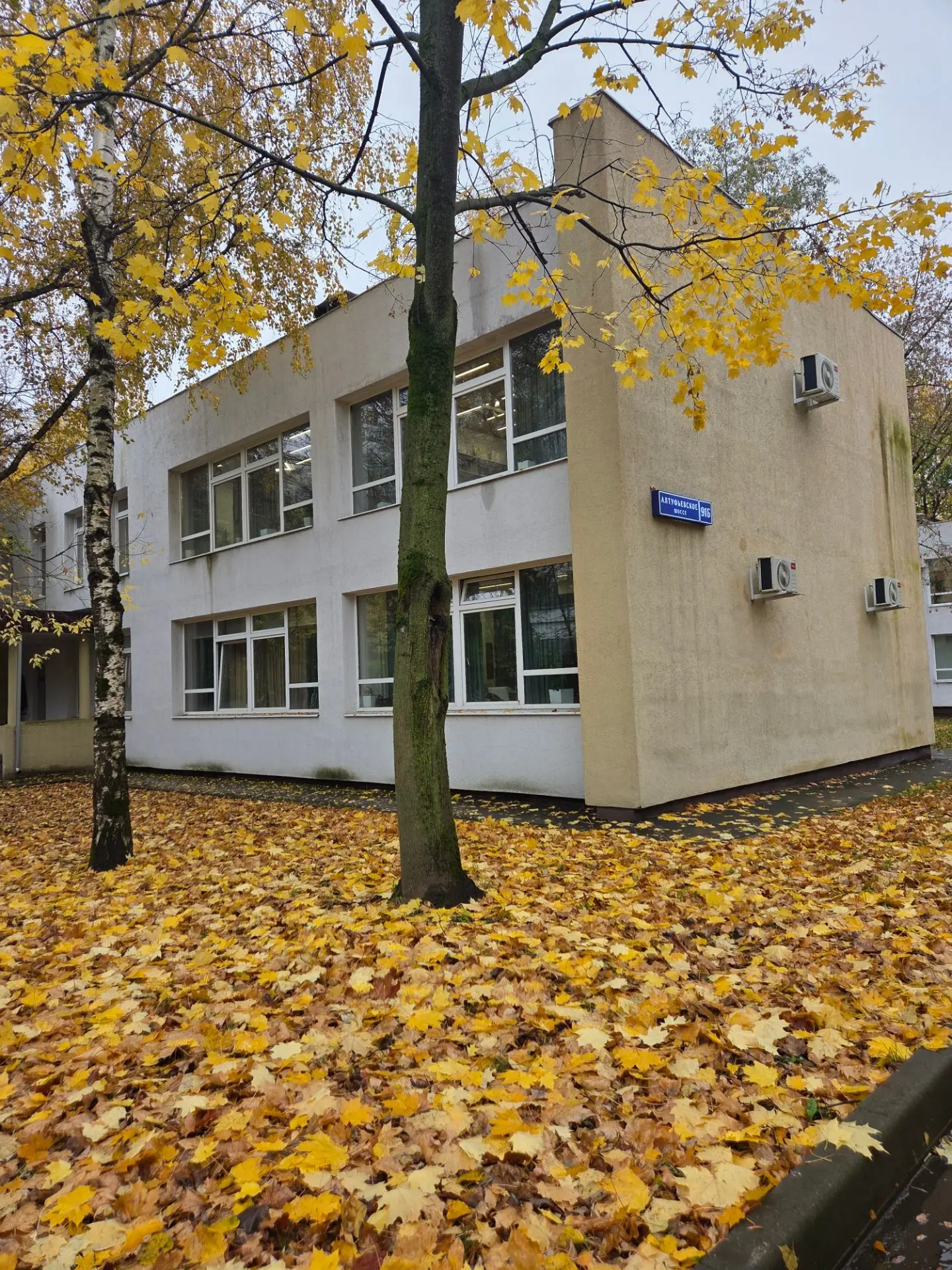 Рабочий день в движении: 14 октября  начальник управления опеки и попечительства в отно...