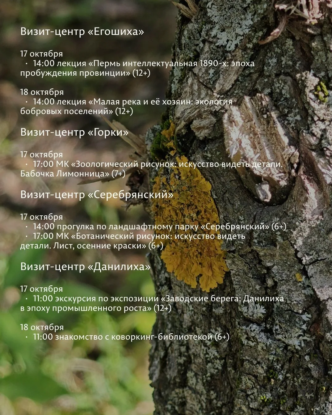 БЕСПЛАТНО