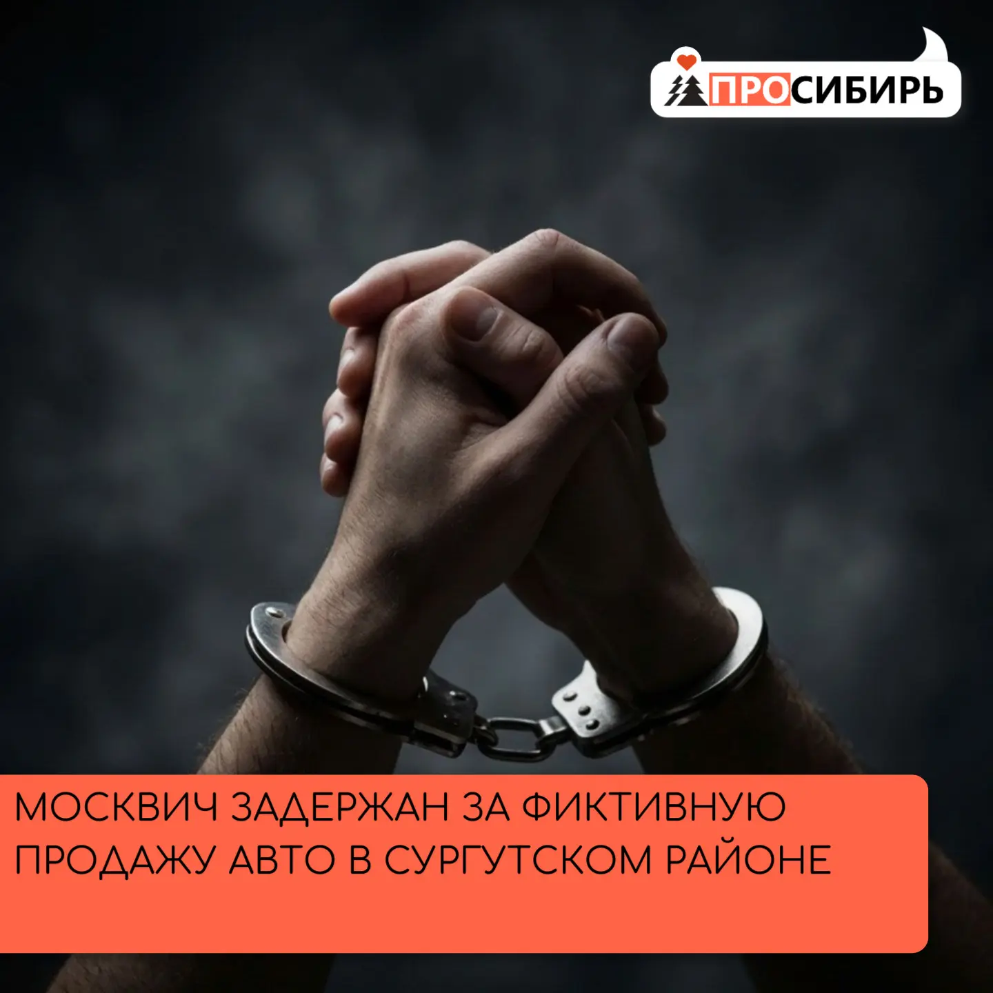Полицейские раскрыли дистанционный обман: 31‑летний житель Москвы размещал на сайте объ...