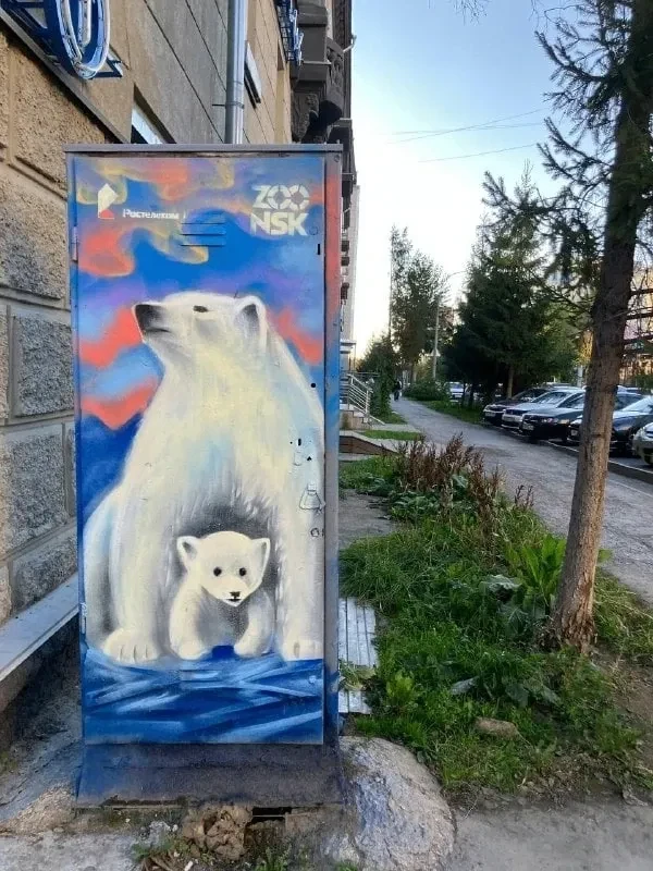 🐻‍❄ В Новосибирске продолжается кампания по разрисовке серых технических шкафов яркими...