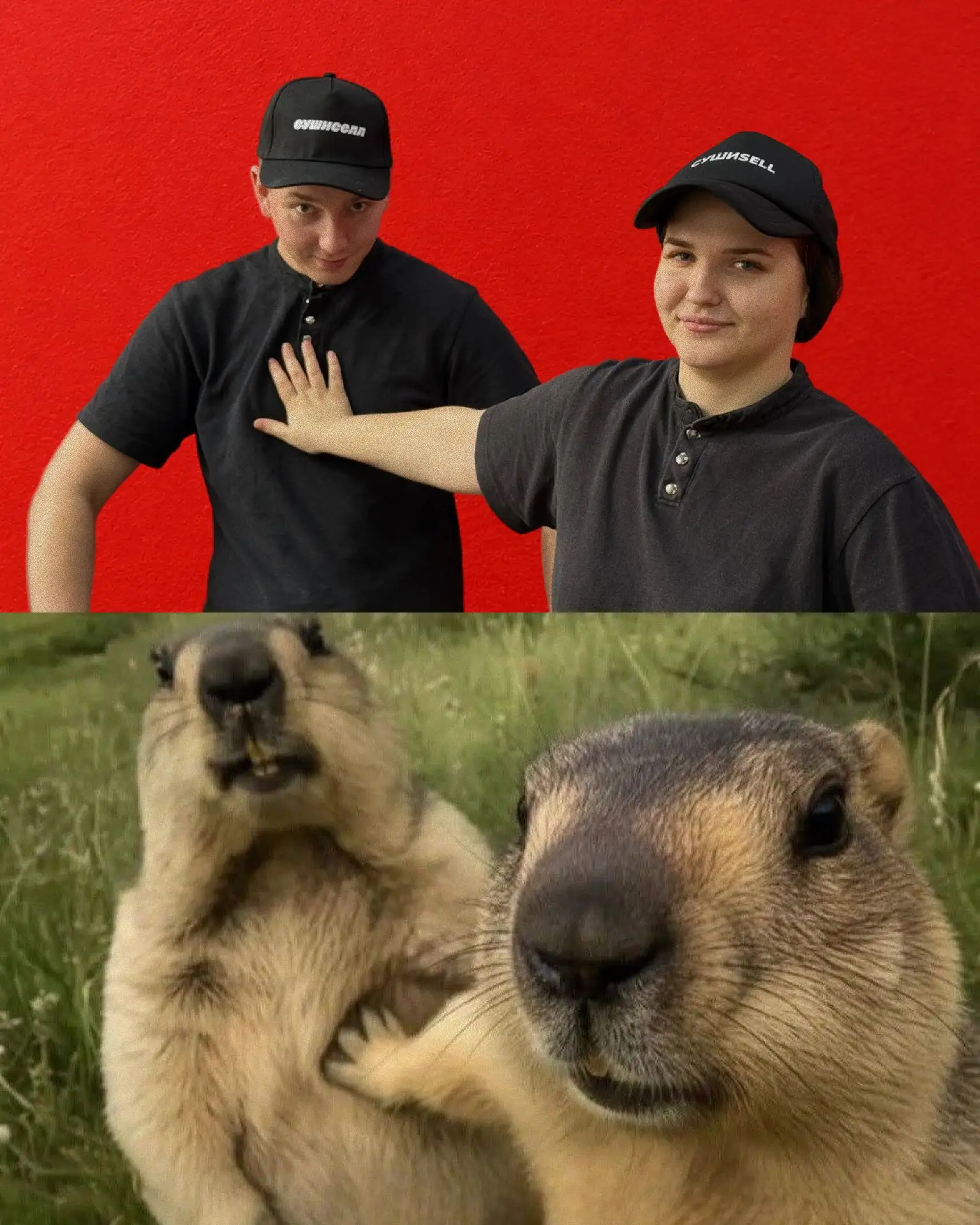Так, селломаны, поднимаем настроение в этот понедельник! 😂❤️