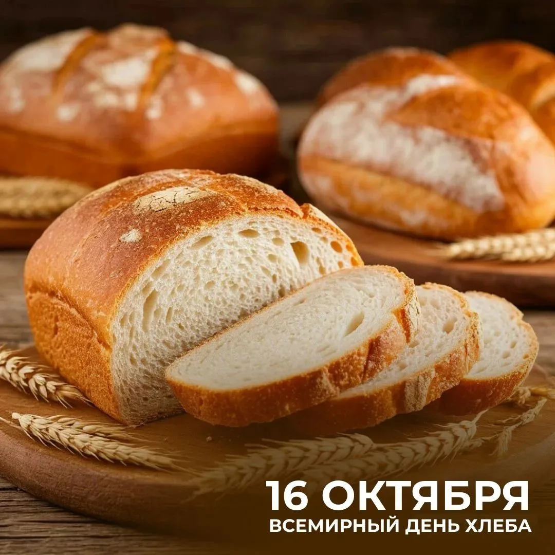 НОВОСТИ. 16 ОКТЯБРЯ 🗓️