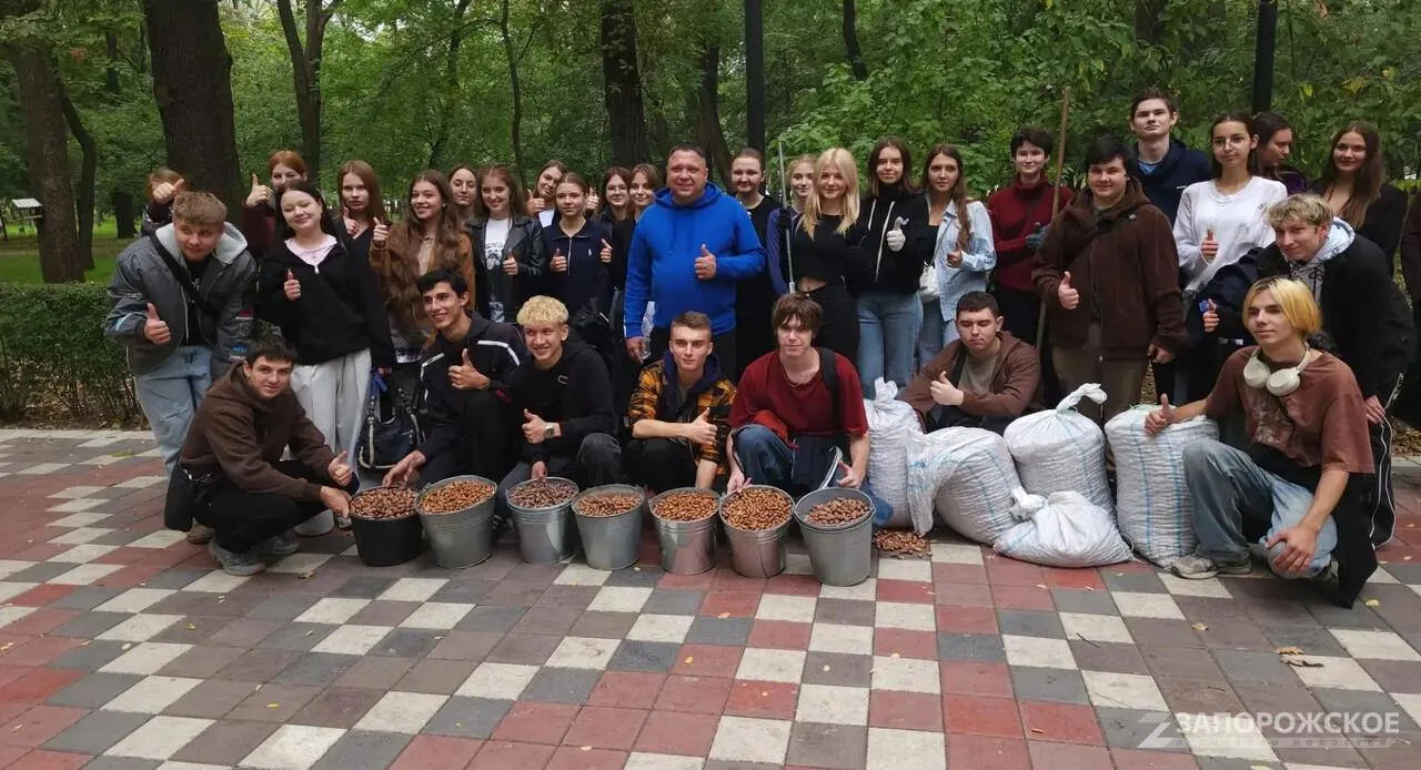 🌳 Жёлуди собрали для восстановления лесов