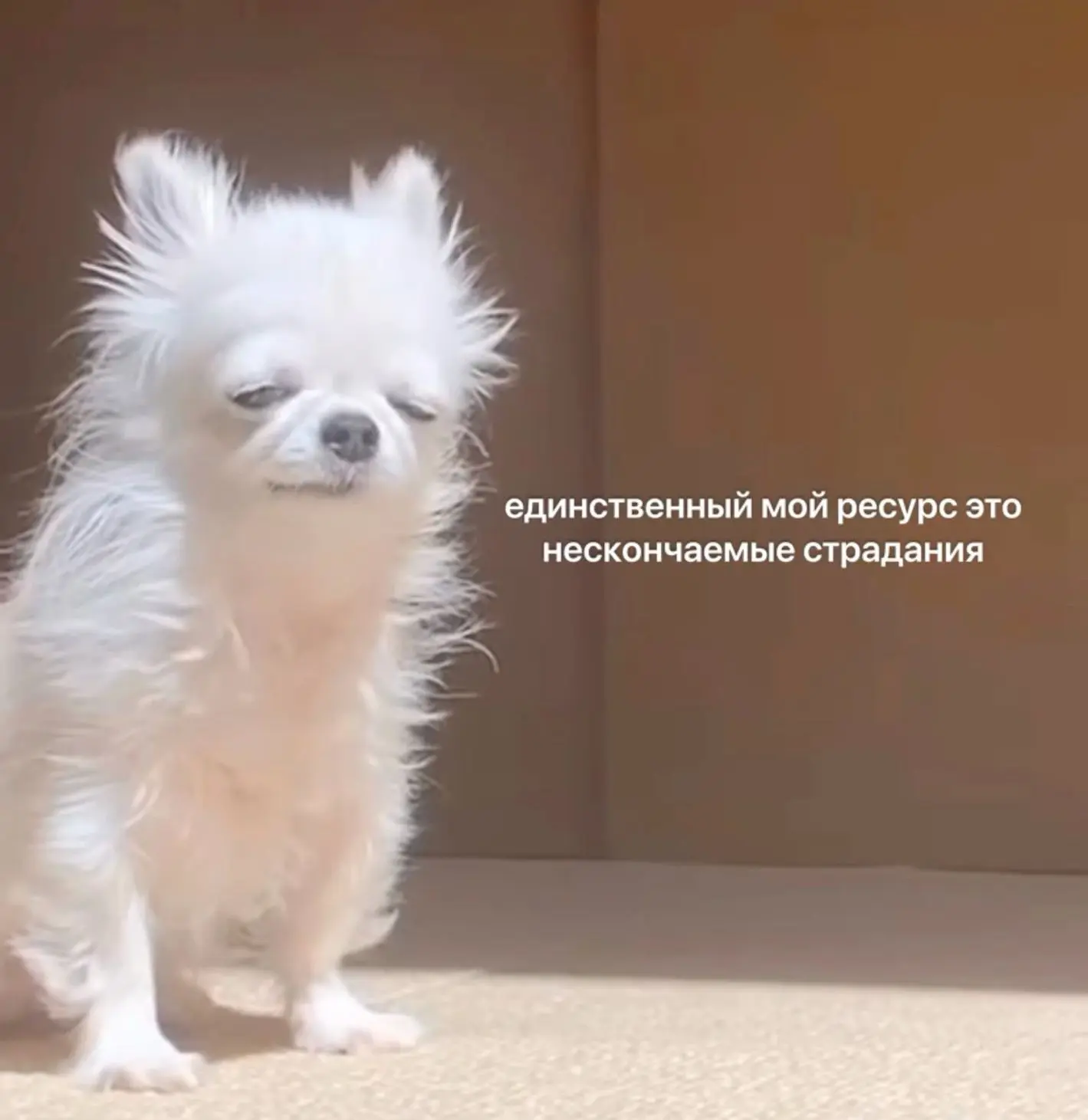 Никак не могу вернуться сюда со своими трешовыми историями🙈🥺 Контента вагон, а сил - ...