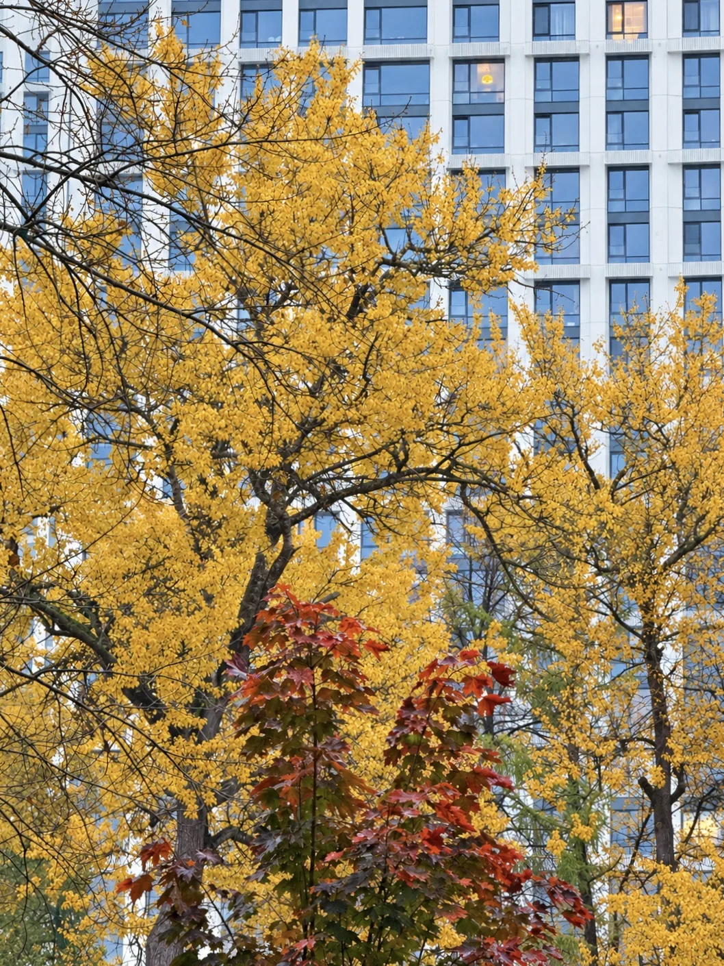 🍂 Доброе утро!