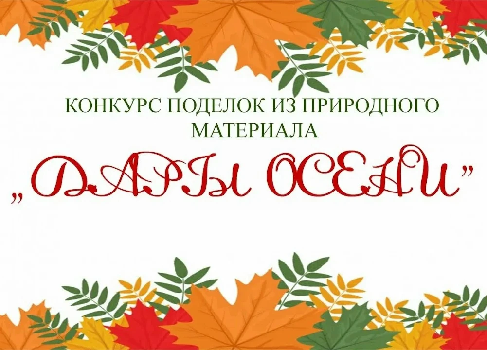 «Дары осени: вторая жизнь природы»