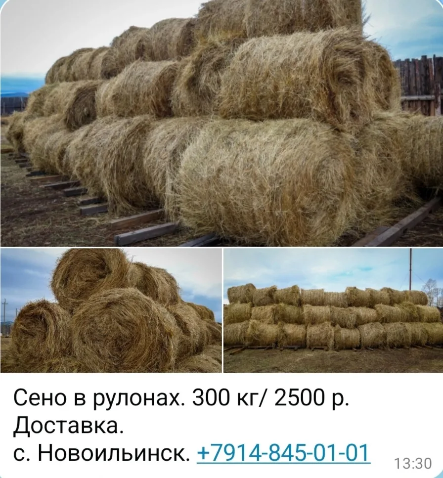 От подписчика ЛЮБОВЬ