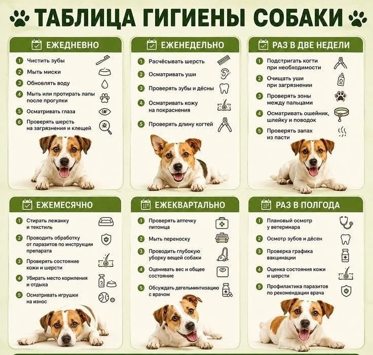 #Йоши_ликбез@yoshi_siba
