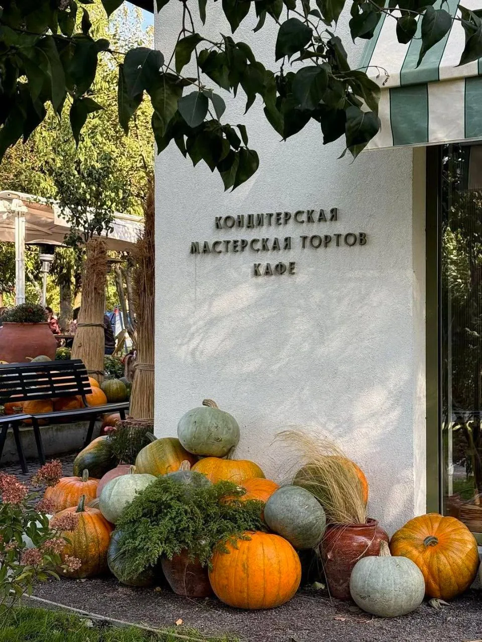 Тыквенное безумие.