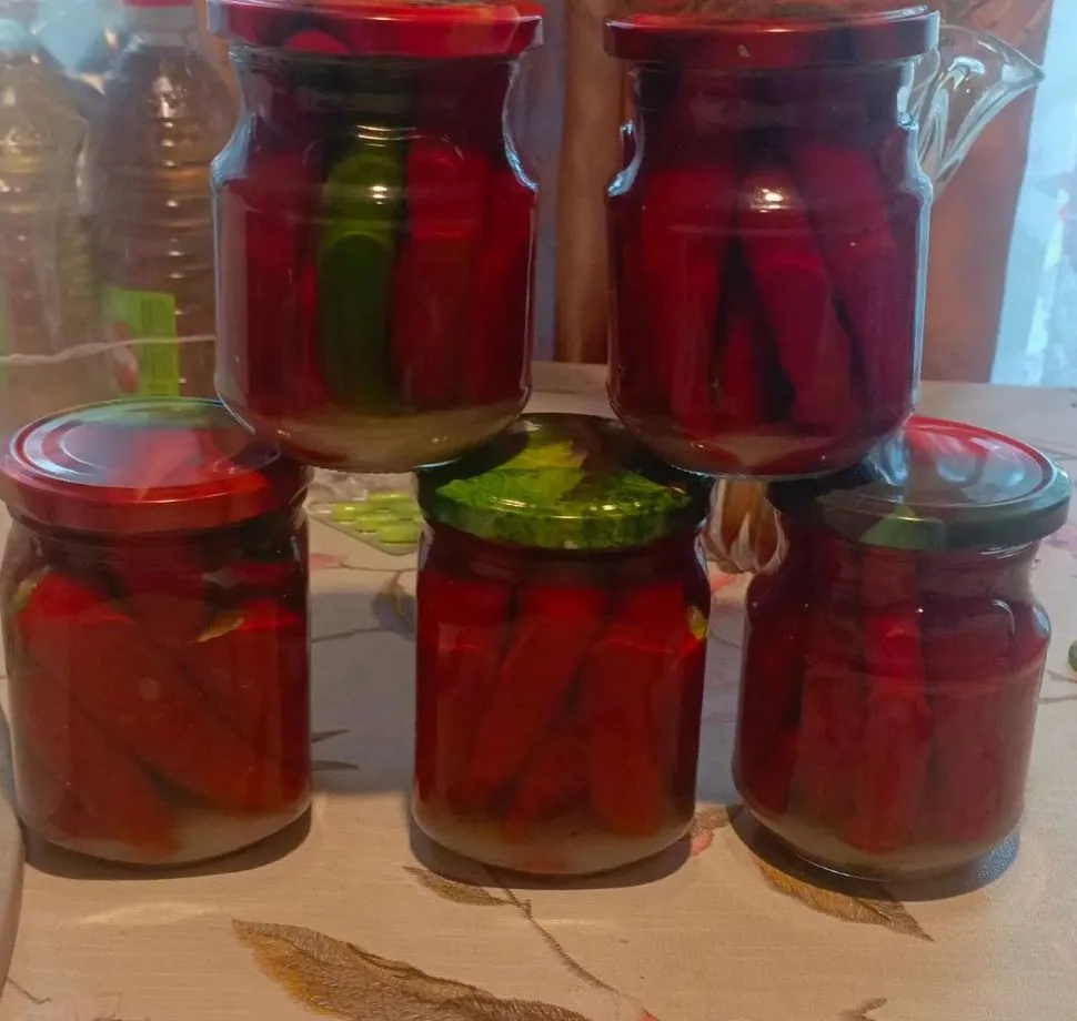 Перец острый маринованный . перчик конечно же домашний 😋.