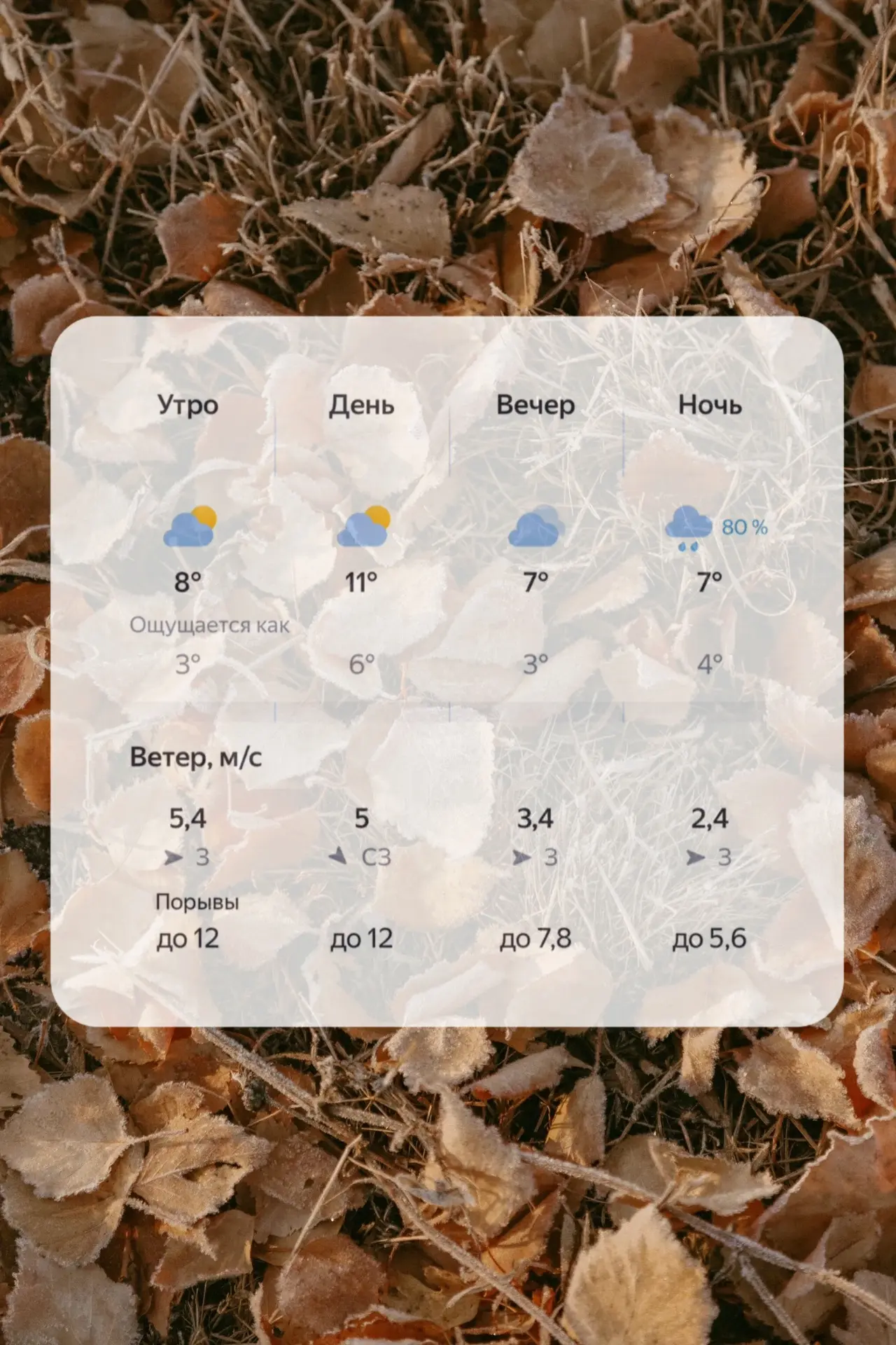 ☀️ Доброе утро, Тюмень!