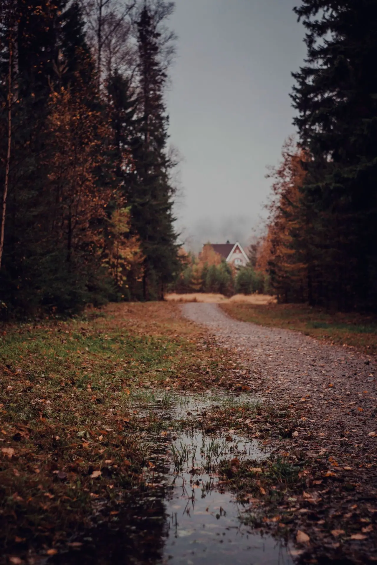 Осенняя пастораль 🥰📸 фото от подписчика