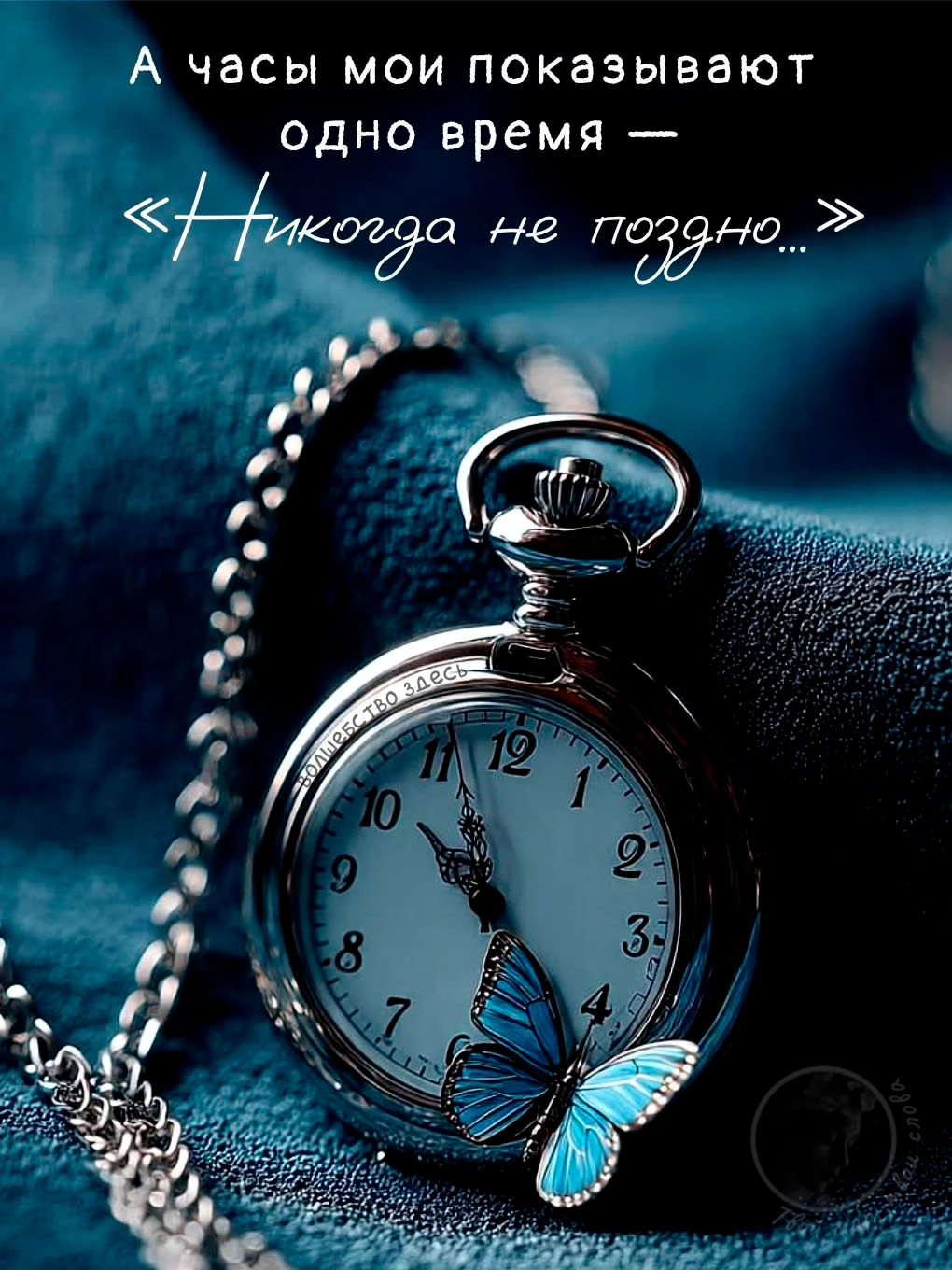 Твой мир, твои слова
