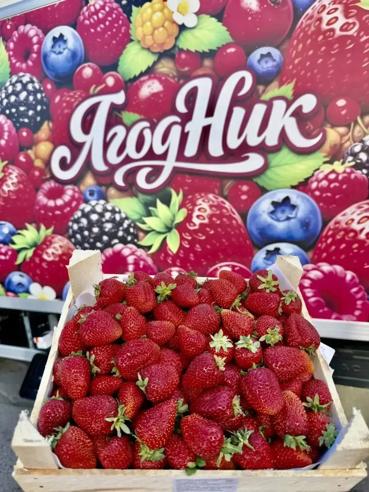 🍓ПОСТАВКА СЛАДКОЙ, АРОМАТНОЙ КЛУБНИКИ И МАЛИНЫ ИЗ КИРГИЗИИ В ОМСКЕ🍓