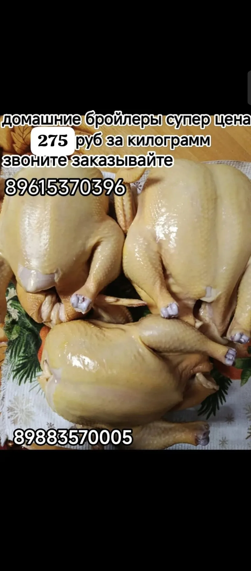 Продаю домашних бройлеров. Цена за килограмм 275р. Доставка бесплатная от 5 штук. Звони...