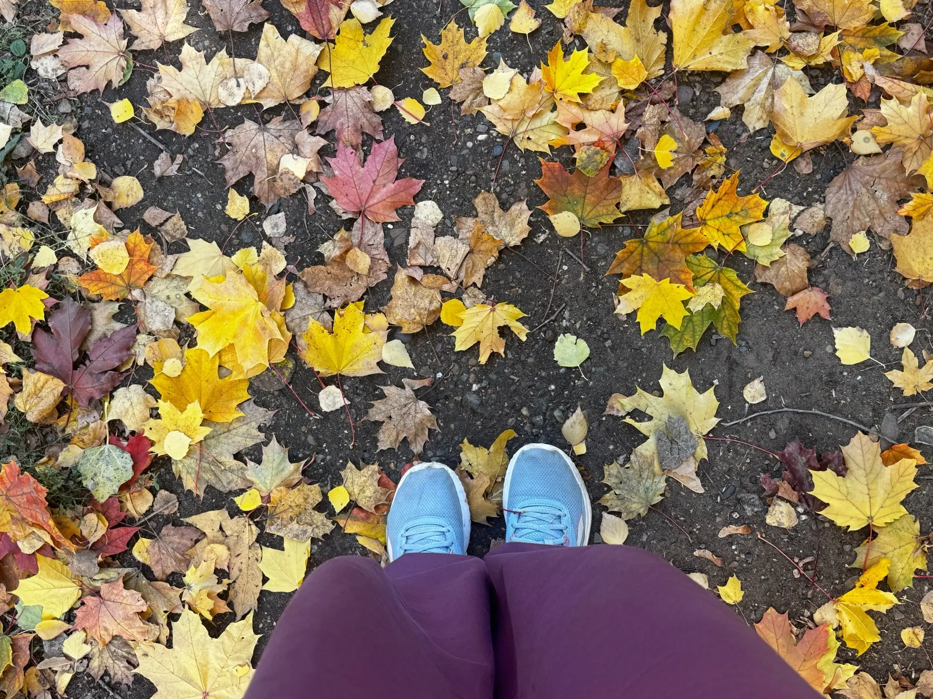 ☁️На осень не похоже. В Оренбуржье в среду +20