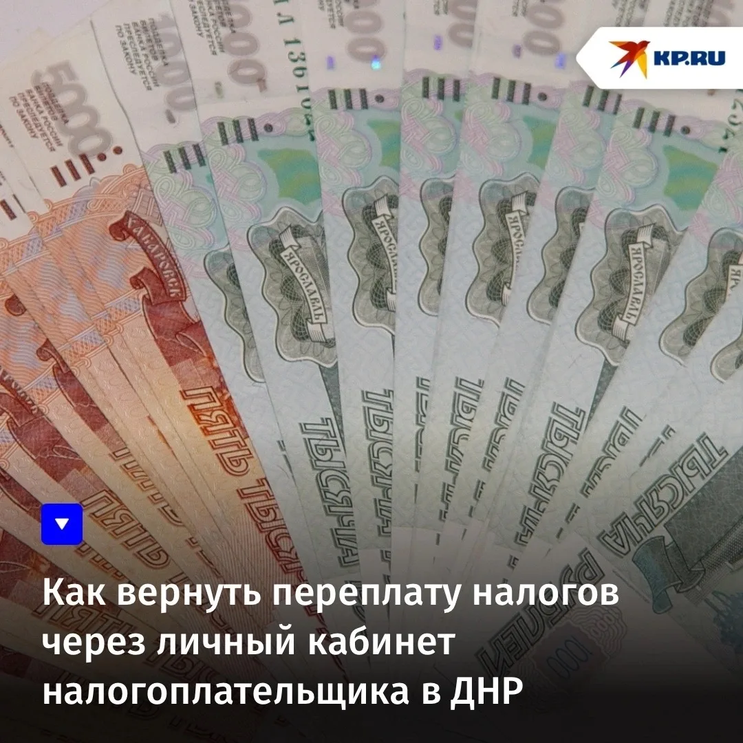 Как вернуть переплату налогов через личный кабинет налогоплательщика в ДНР
