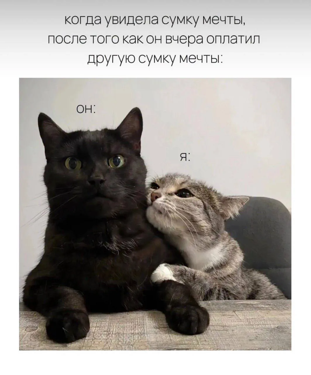 Мы?))) 🤭
