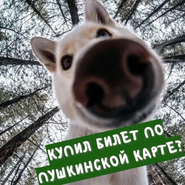 💚Дом техники