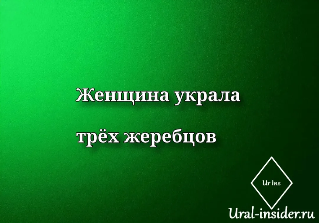🟩[Жительница Кургана украла трёх жеребцов]