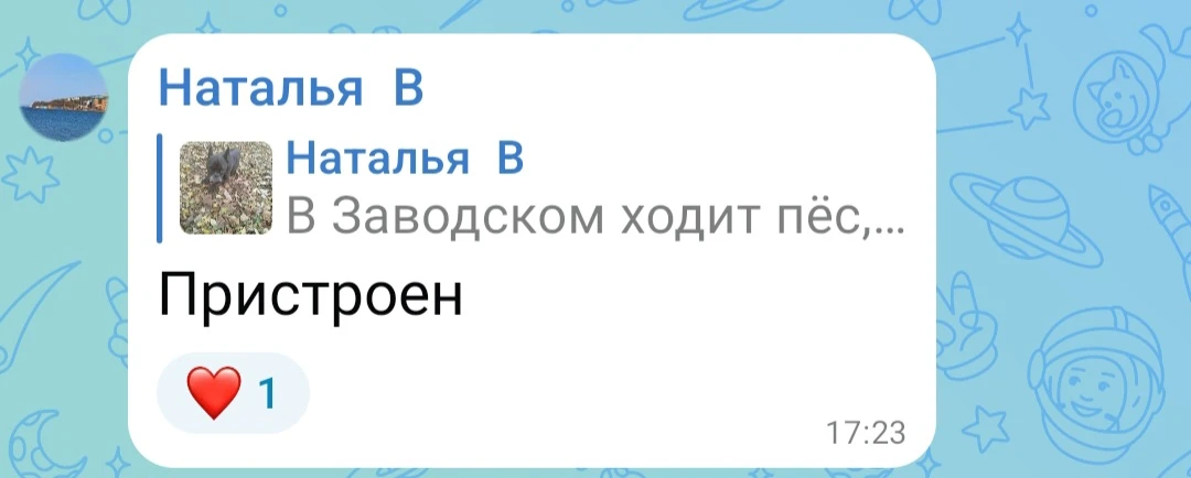 В Заводском ходит пёс,старый. Часто нет сил даже ходить. Просто ложиться на траву и леж...
