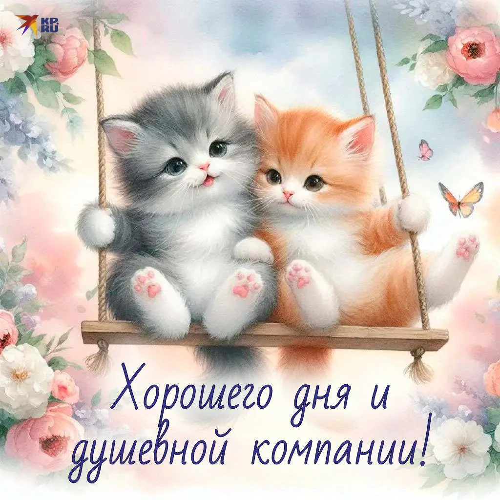 https://max.ru/se13912156_biz
