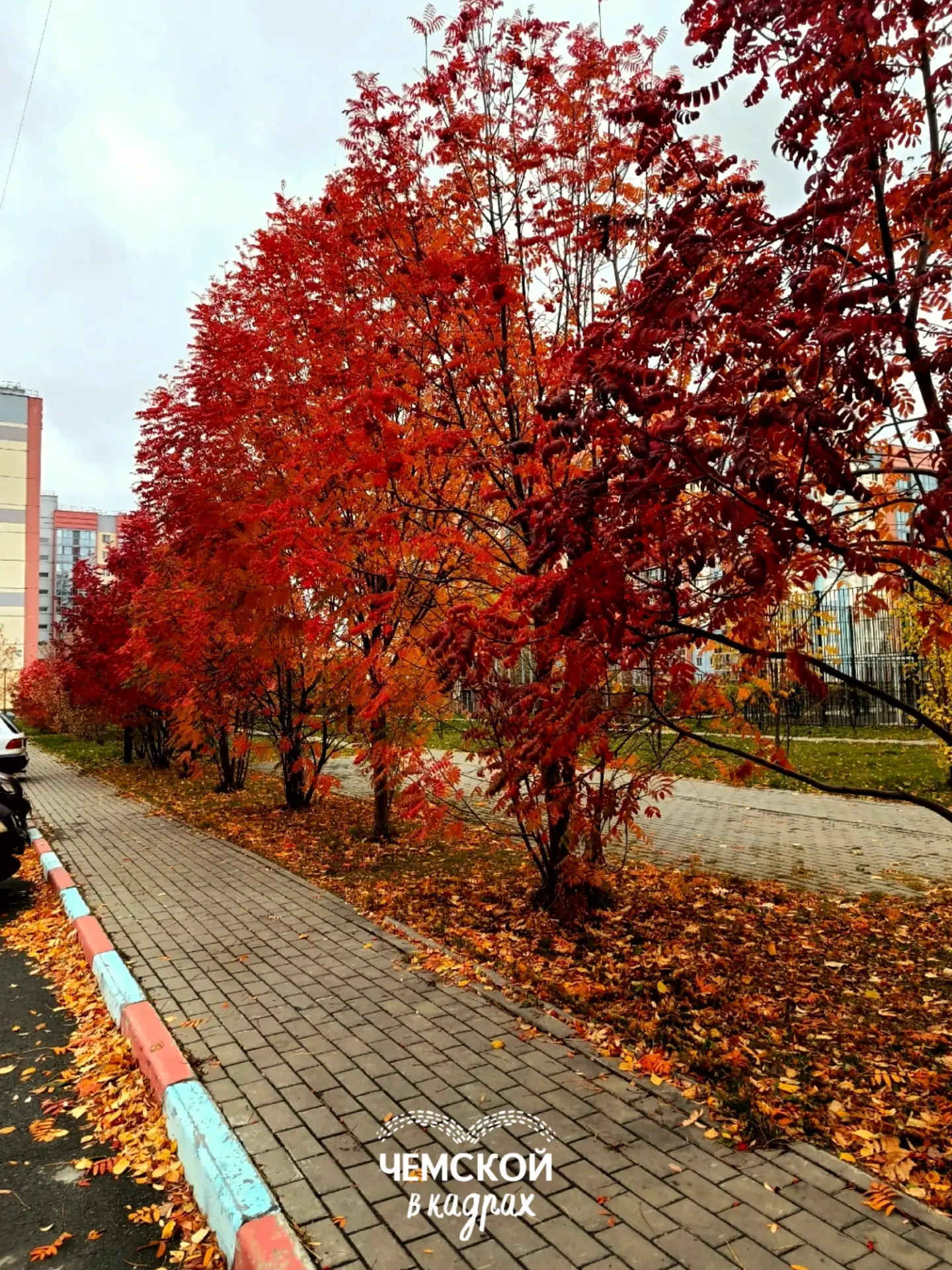 Серый — это скучно 🍁