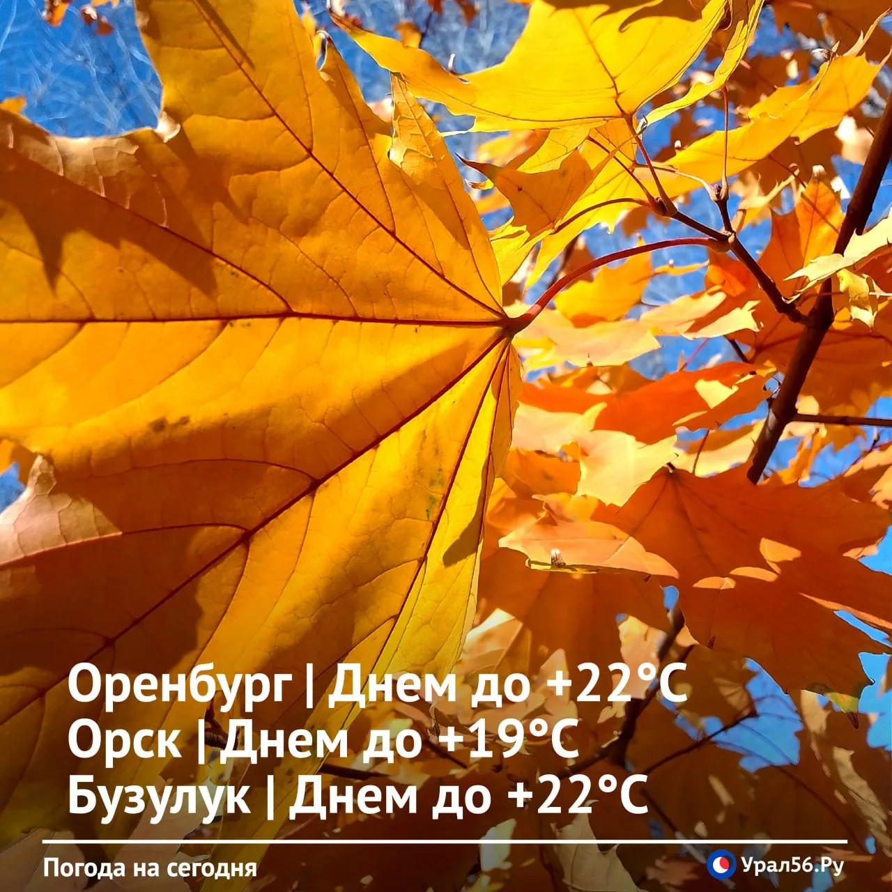 Доброе утро ☀️