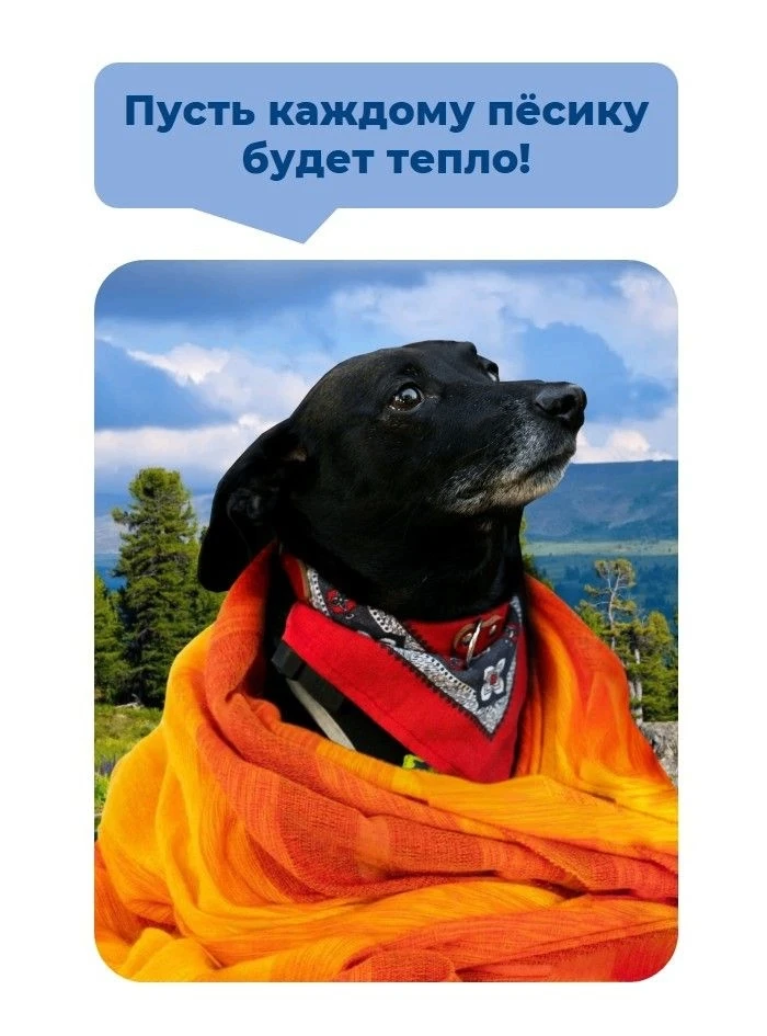 Жюль – спаситель 💪