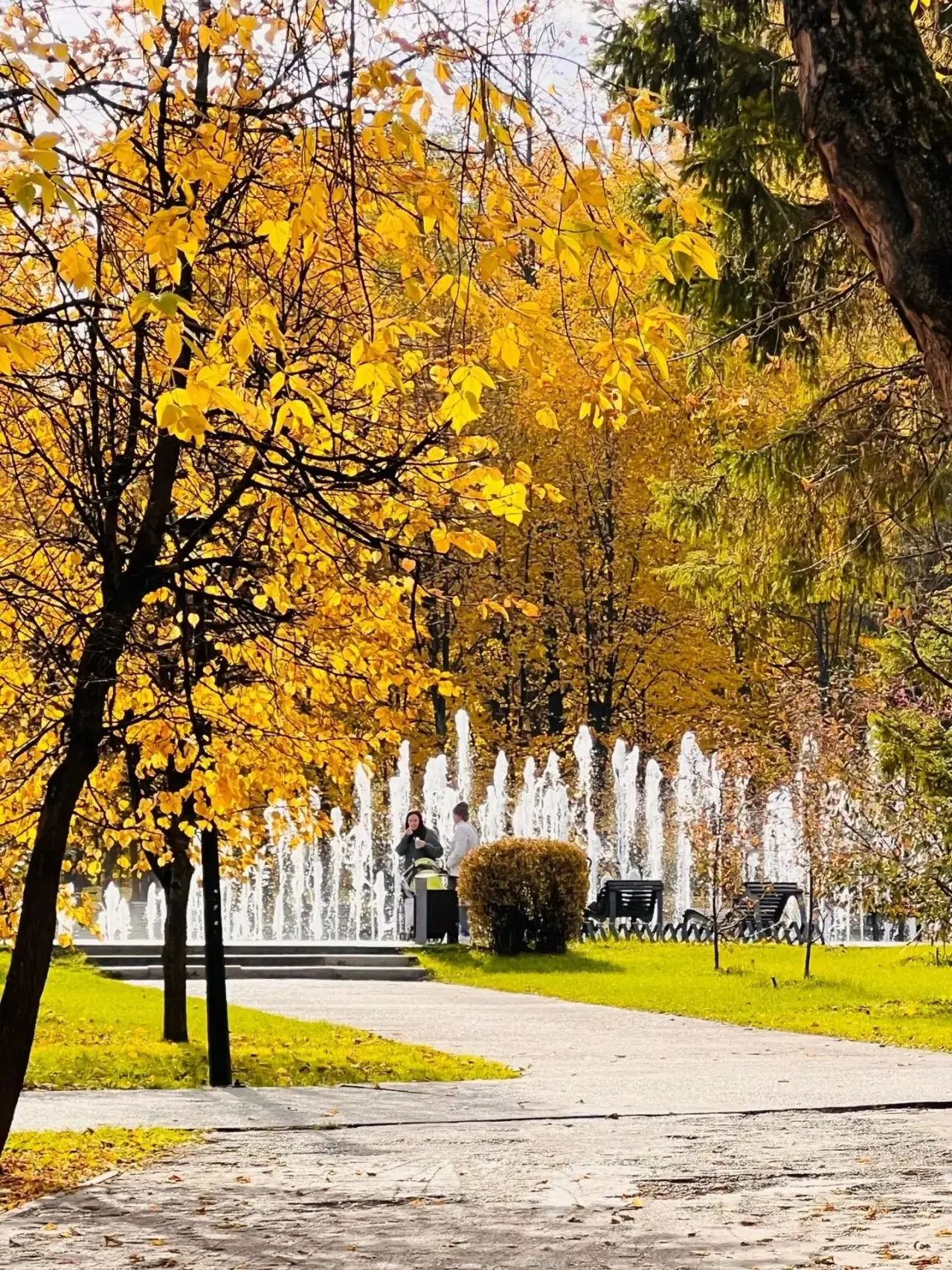 💔 Золотая осень в парке Горького
