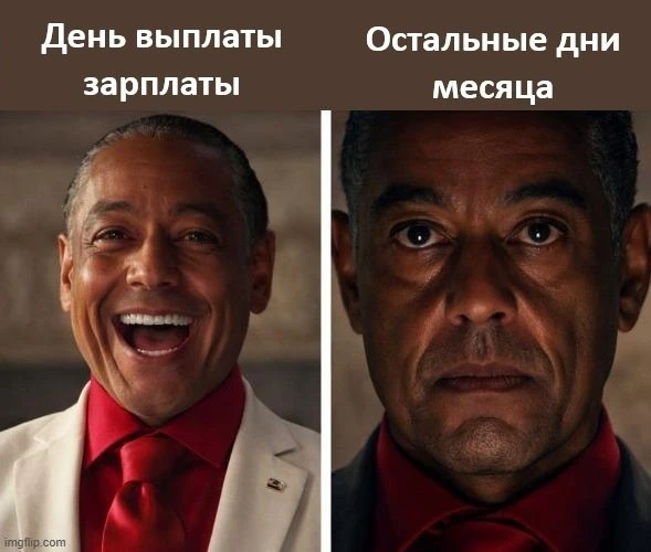 Подпишись на Кринжулю 👉🏻 в TG, в VK и в Макс